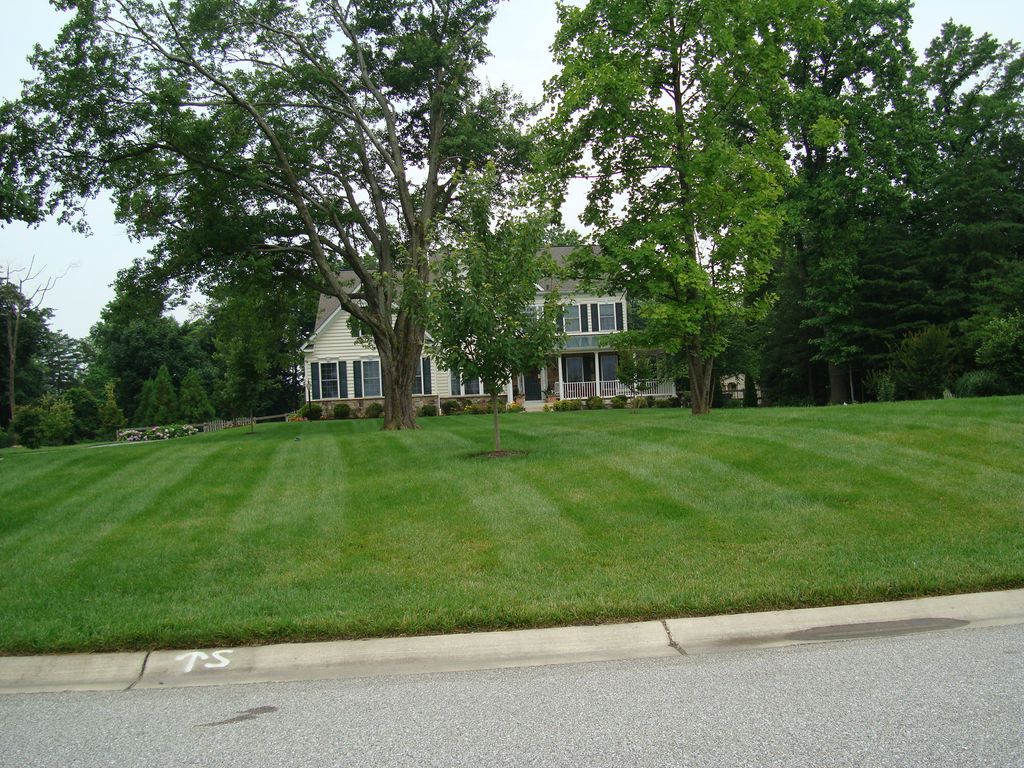 AERATION, OVER SEEDING,GOOD FERTILIZATION PROGRAM,