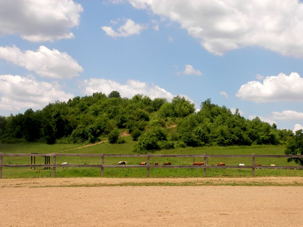 Roundtop Stables