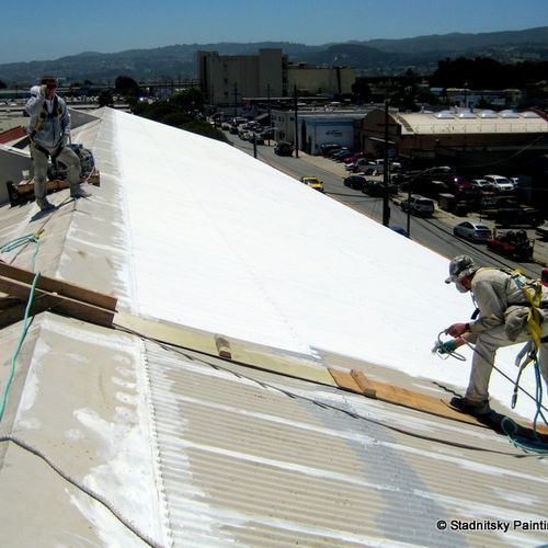 Roof Roofing Painting Services