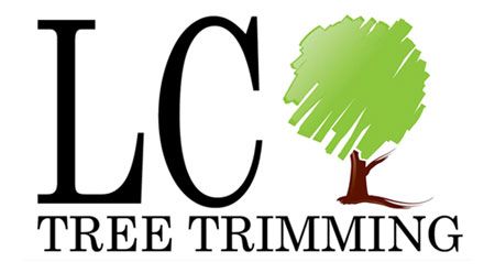 LC Tree Trimming