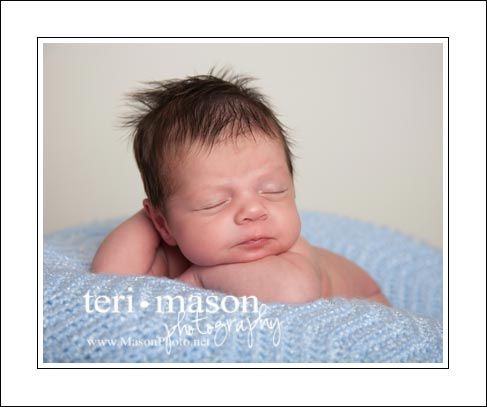 Teri loves photographing newborns, from 0-14 days 