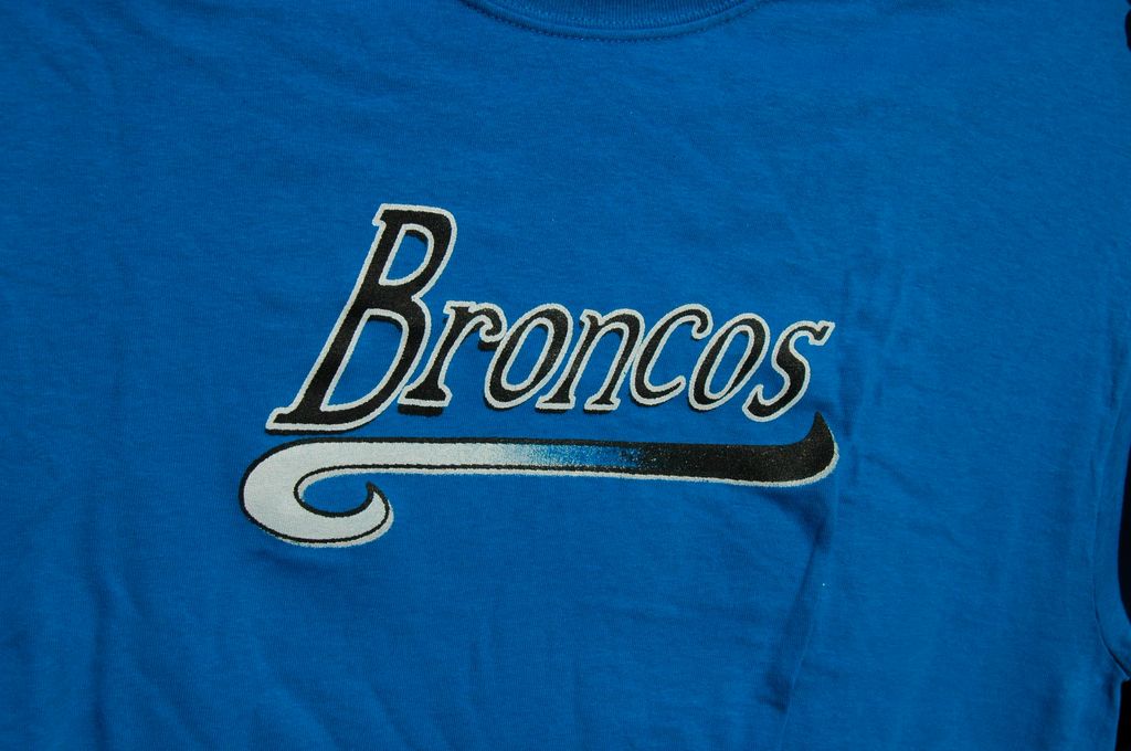 Client: Broncos Little League Team