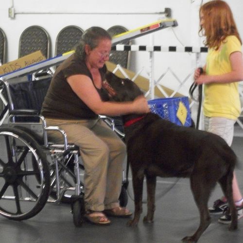 Therapy Dog Certifications