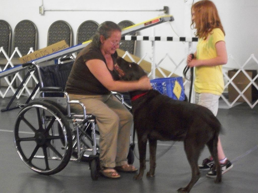 Therapy Dog Certifications