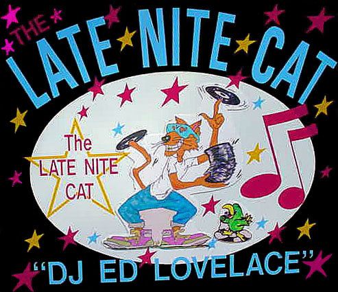 The Late Nite Cat LLC