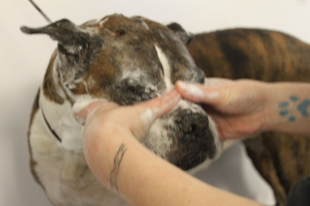 Everyone Loves a Blueberry Facial