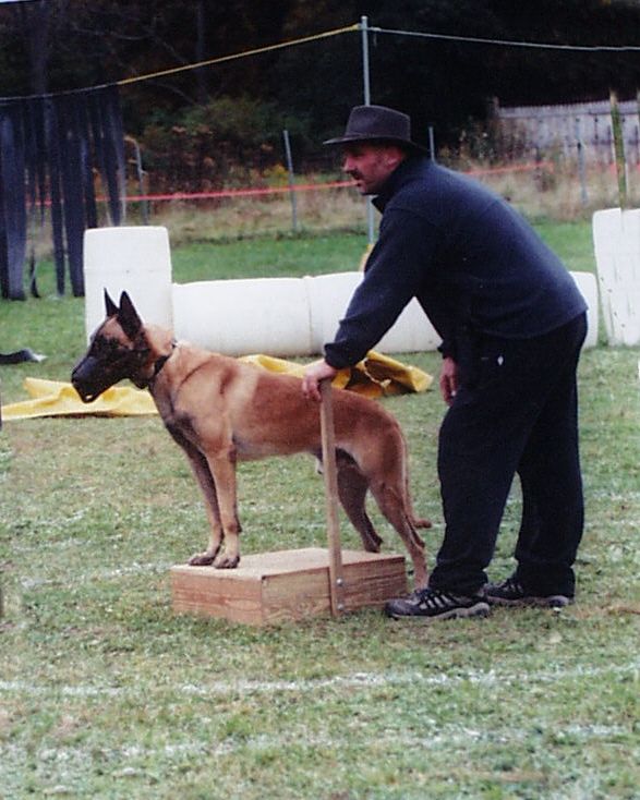 John and Arco at a demonstration