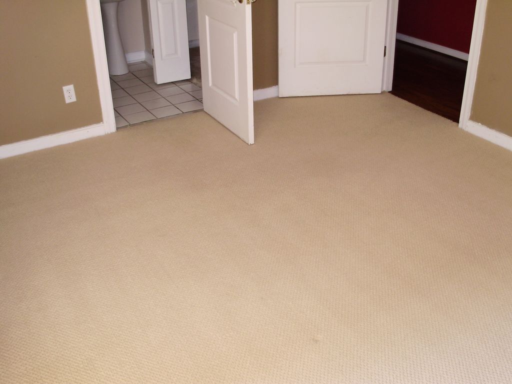 Carpet "AFTER"