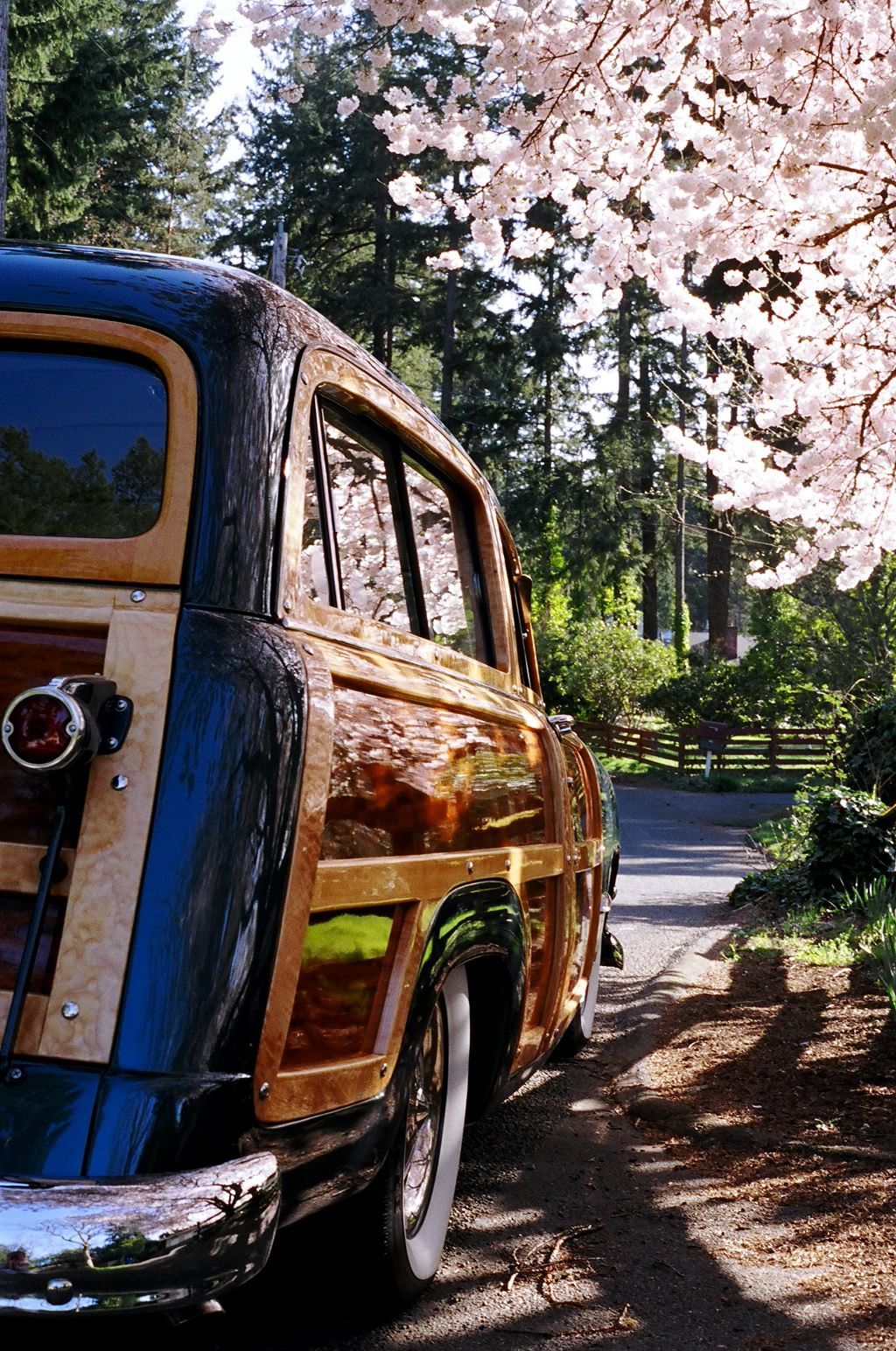 'Country Squire, Country Roads' My 1950 Ford wagon