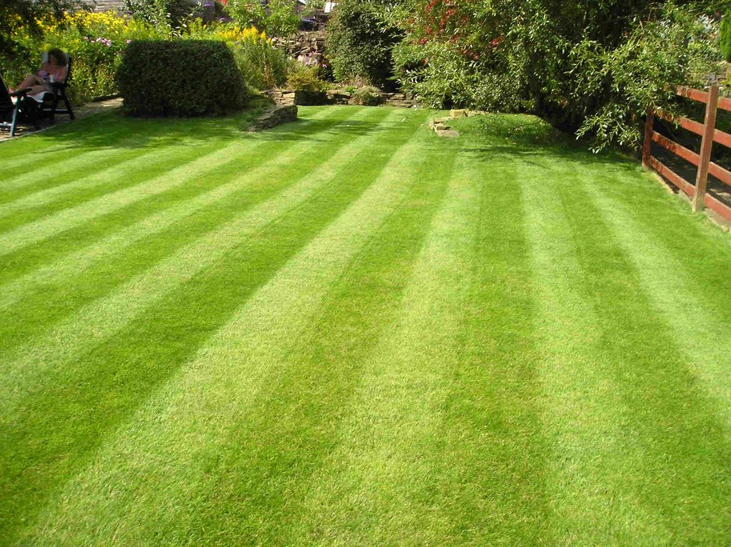 Robbins Lawn Care & Landscaping