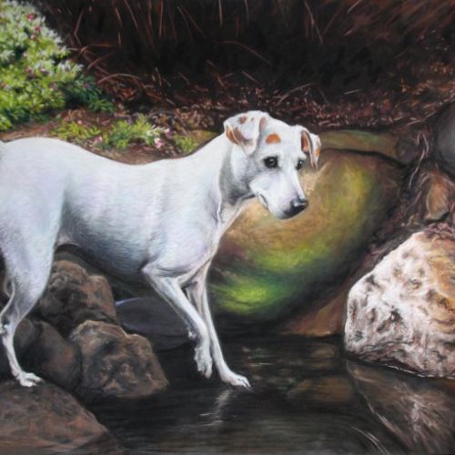 Annabelle- Jack Russell Terrier
24 x 30
soft paste