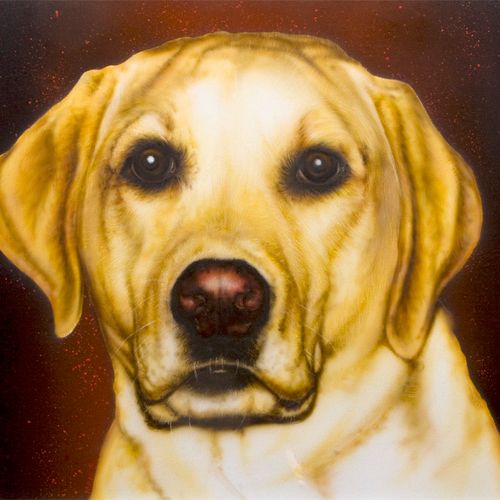 Dog Portrait, Animals