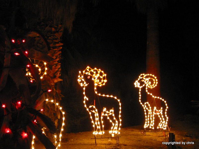 Taken with a class I taught at the local Palm Dese