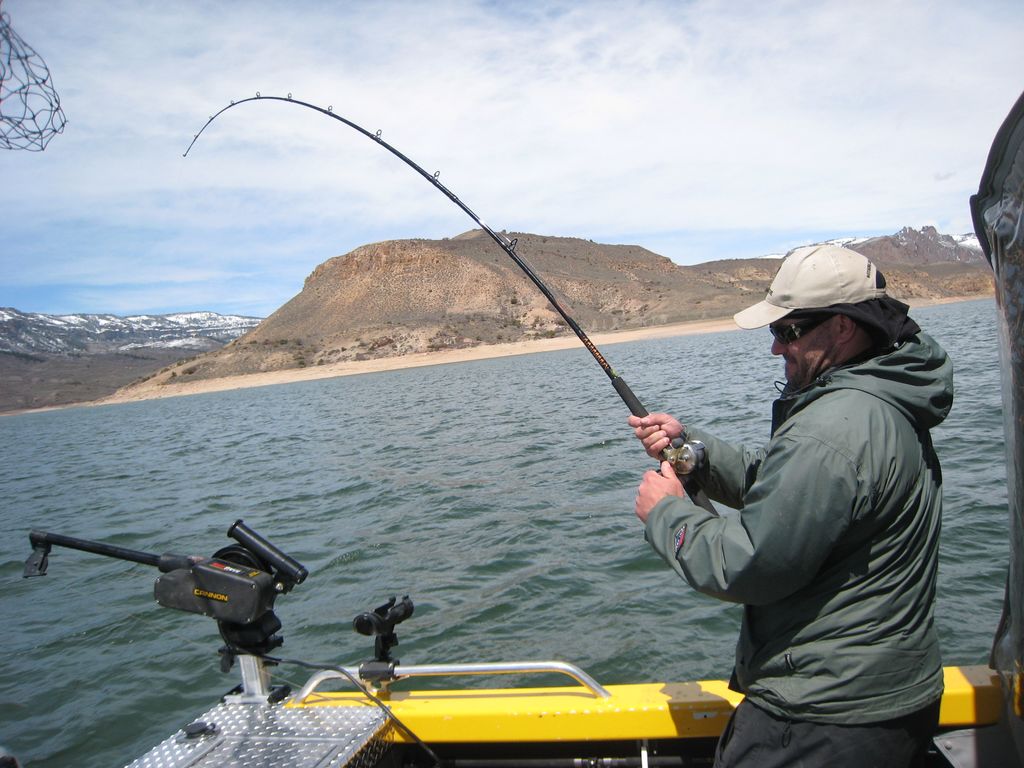 Fish On