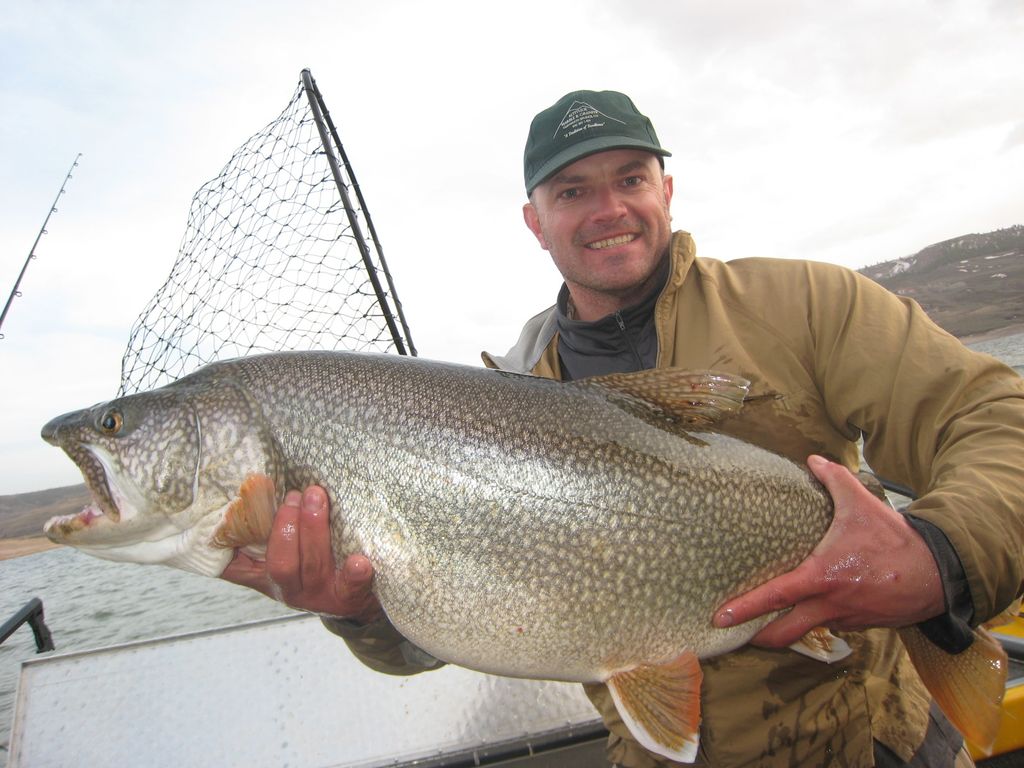 Big Lake  Trout