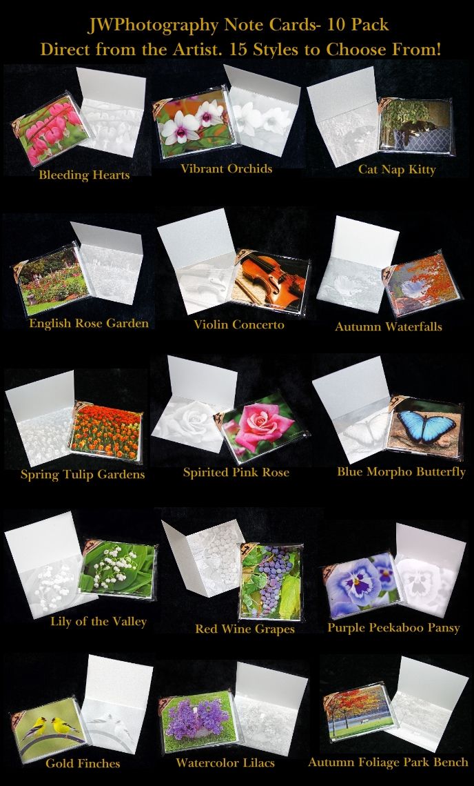 Full Line of Note Cards