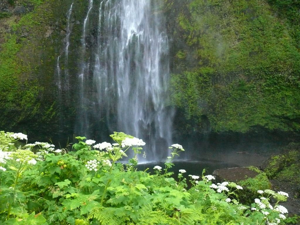 Multnomah Falls