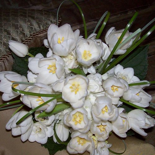 Cluster White Tulips