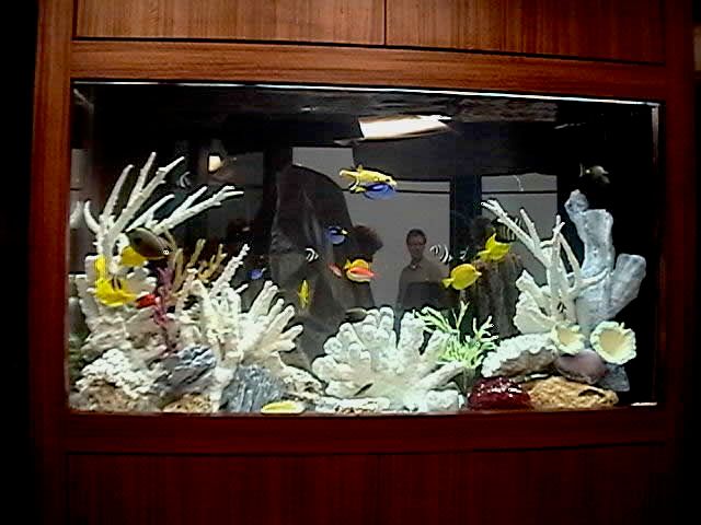 Aquarium Care Pro