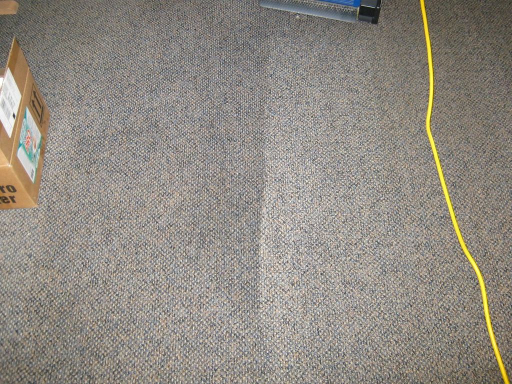 Carpet Cleaning Results