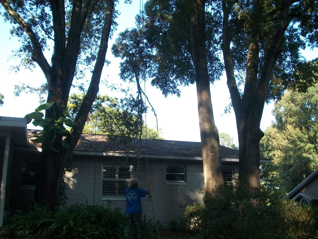 cutting it limb by limb