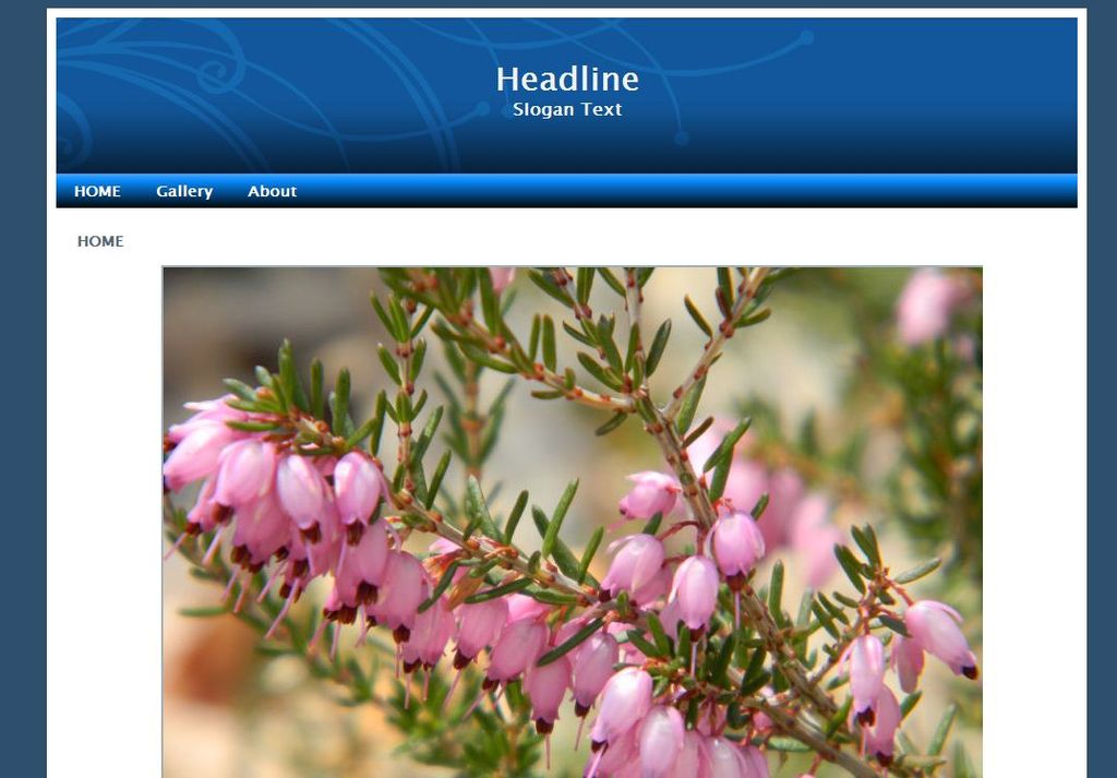 Website Template