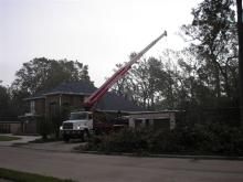 Storm Damaged tree removal in houston,tx using cra