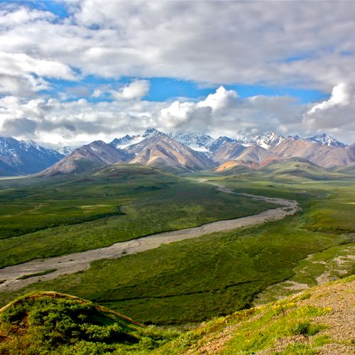 Denali National Park  -  Alaska
