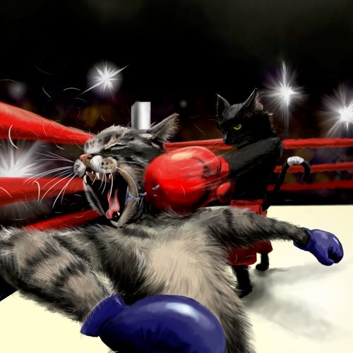 "Cat Fight"
illustration
brad turgeon
2011