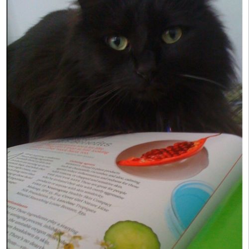 Stella reading a magazine with me.
