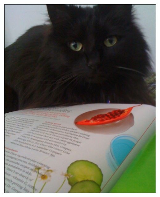 Stella reading a magazine with me.