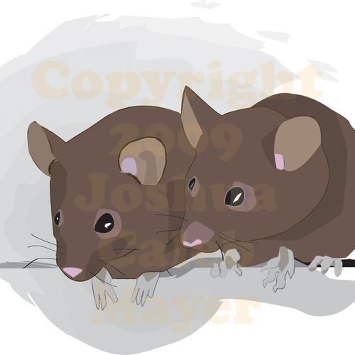 Mice- Created for my book "The Misty Forest and th