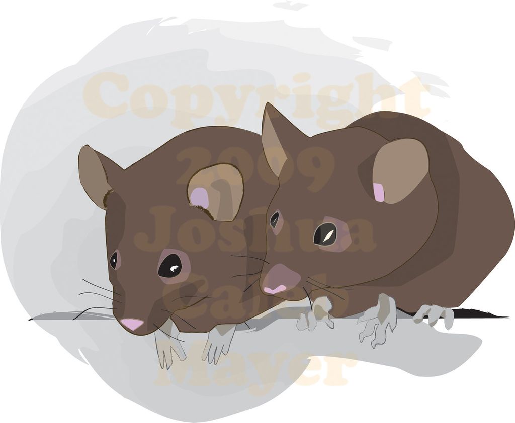 Mice- Created for my book "The Misty Forest and th