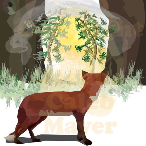 Fox and the Trees- Created for my book "The Misty 
