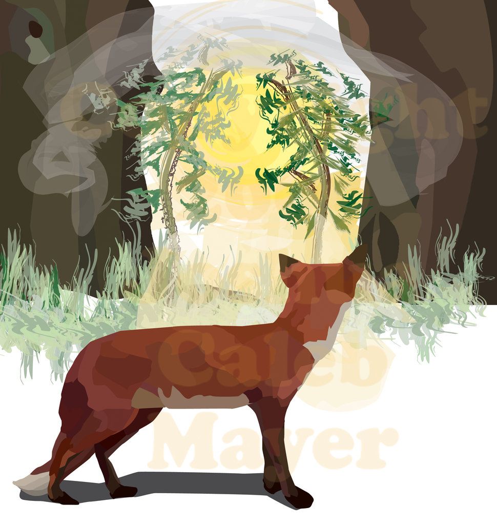 Fox and the Trees- Created for my book "The Misty 