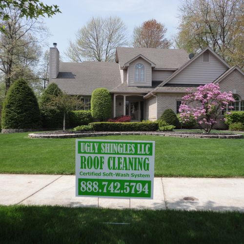 Roof Cleaning Michigan | Ugly Shingles, LLC. | Aft
