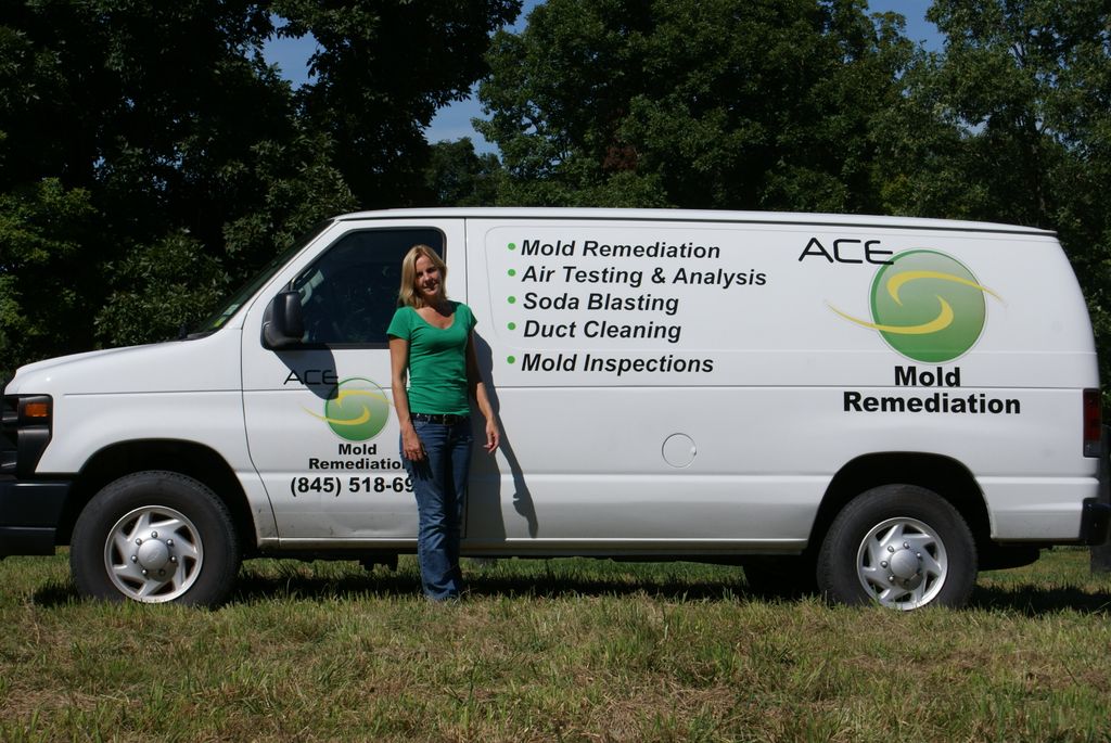 Ace Environmental Solutions