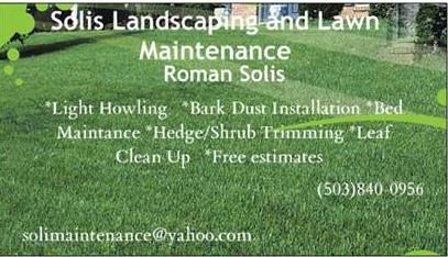 Solis Landscaping and Lawn Maintenance