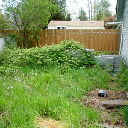 Pictures of BEFORE/AFTER!  -back yard clean up

 B