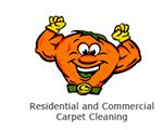 CitruSolution Carpet & Upholstery Cleaning