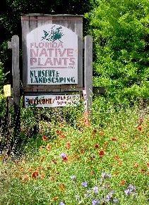 We offer free landscaping advice at the nursery. I