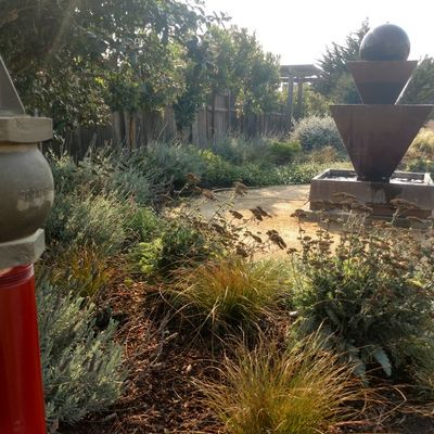 Avatar for Rockwatergrass landscape co. since 1995