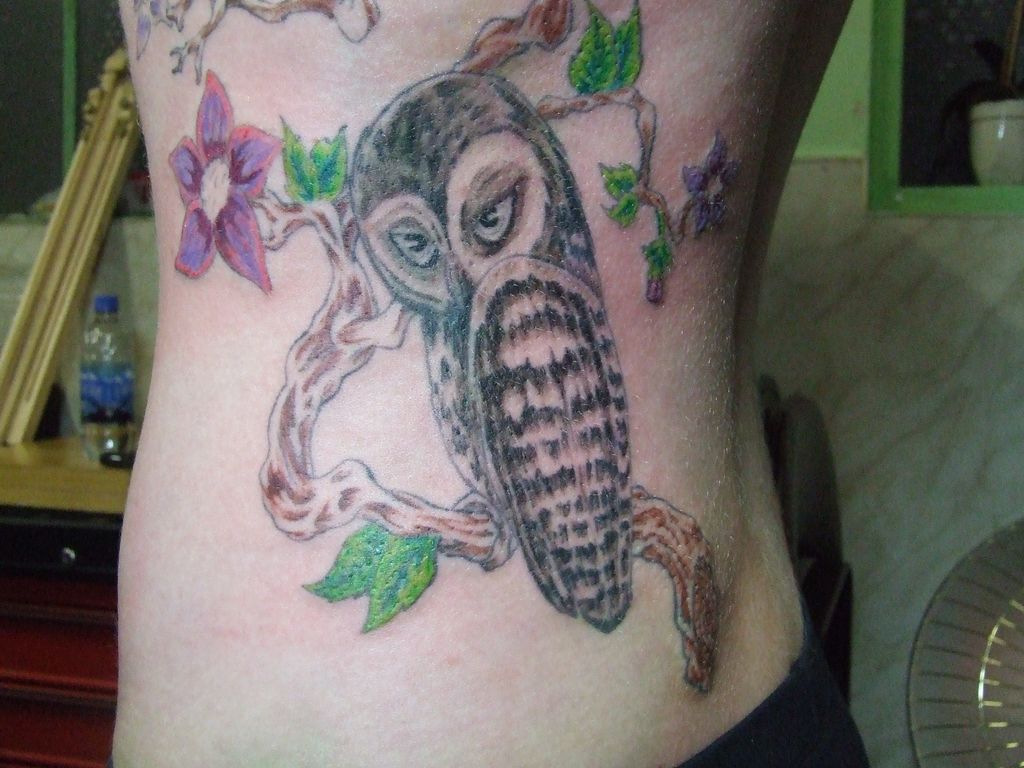 Owl design, cover up.
