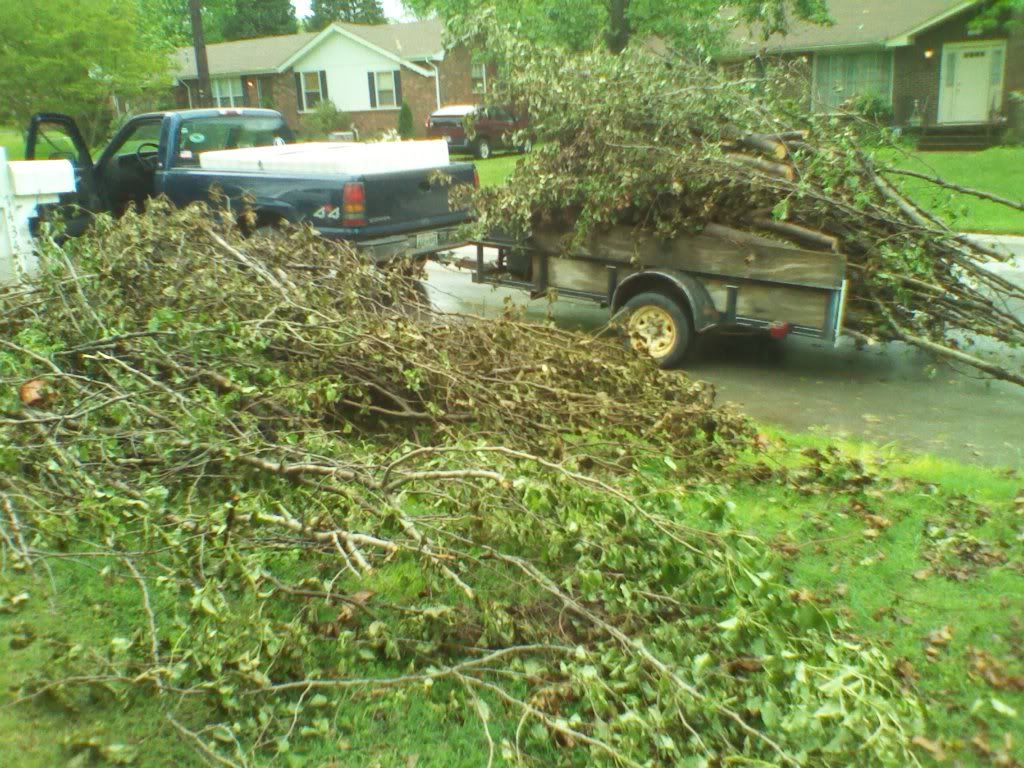 This Is Our Standard Sized Load Of Brush & Tree Li