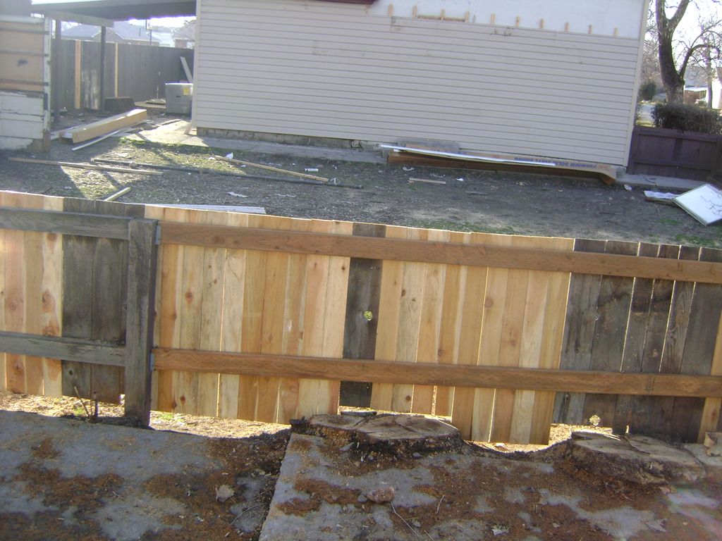 Fence Repair - remove two trees, then repair fence