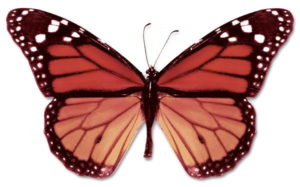 Transformation