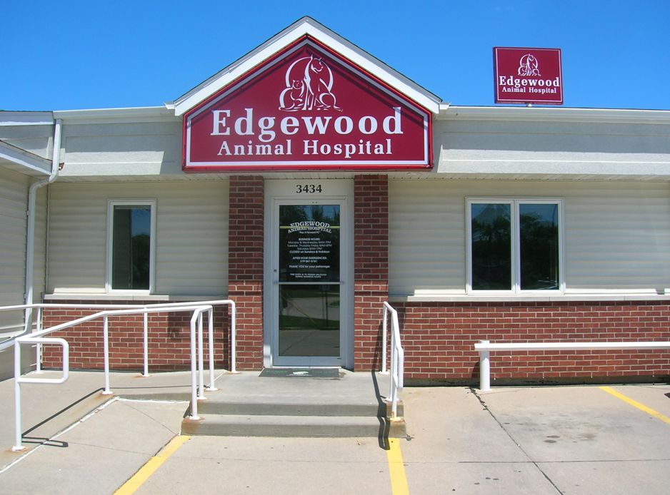 Edgewood Animal Hospital