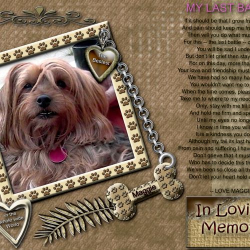 Pet LifeStory Memorial Collage