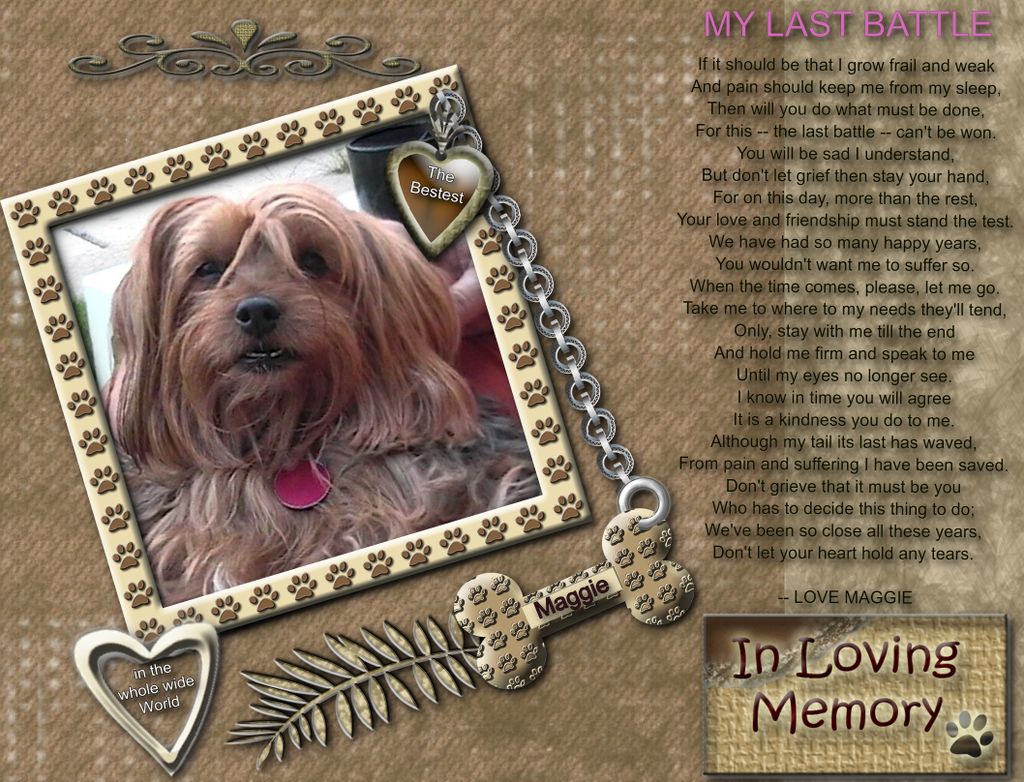 Pet LifeStory Memorial Collage