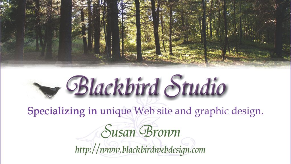 Blackbird Studio